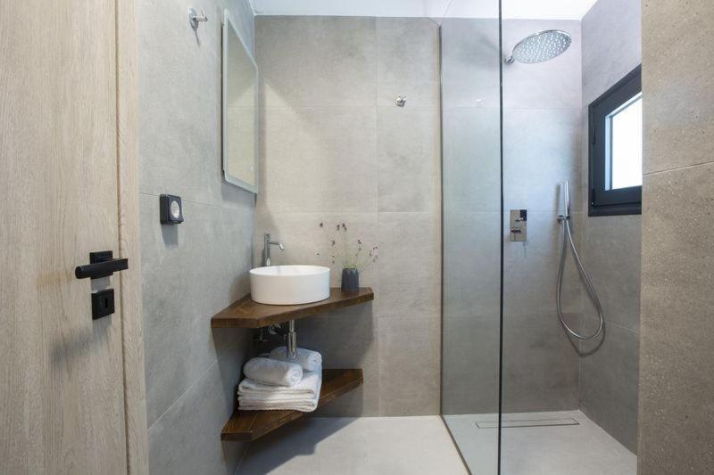 Seascape Villas Vassiliki - Beachfront Villas エクステリア 写真