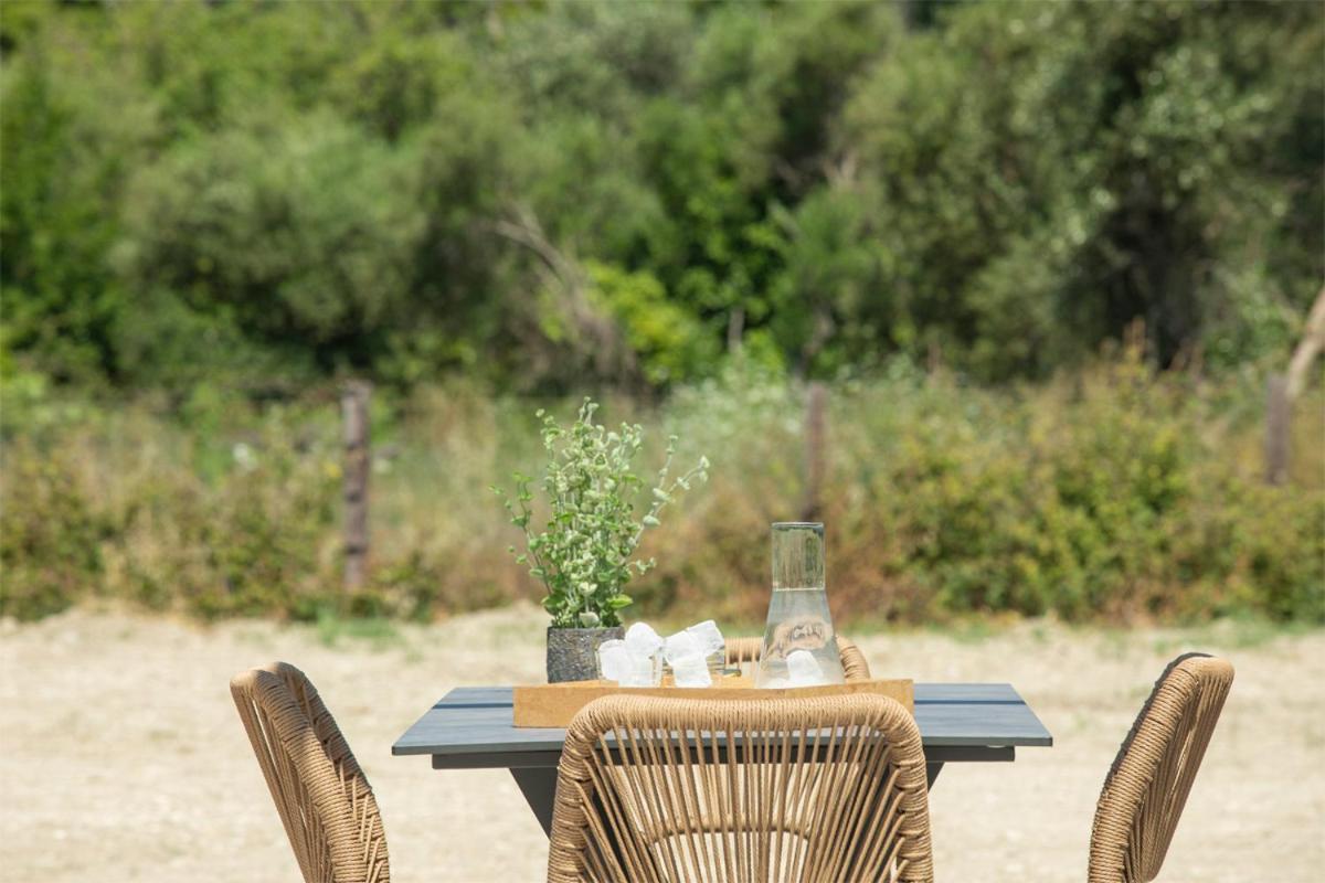 Seascape Villas Vassiliki - Beachfront Villas エクステリア 写真